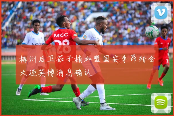 梅州后卫茹子楠加盟国安李昂转会大连英博消息确认