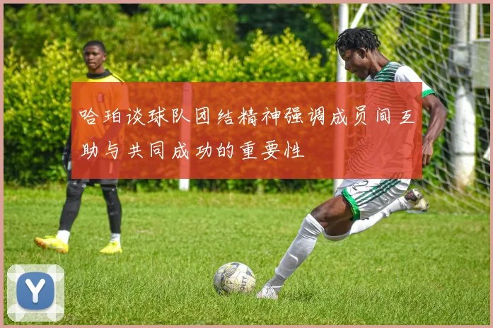 哈珀谈球队团结精神强调成员间互助与共同成功的重要性