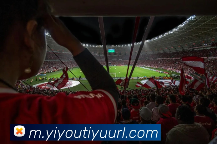 易游体育平台生态图