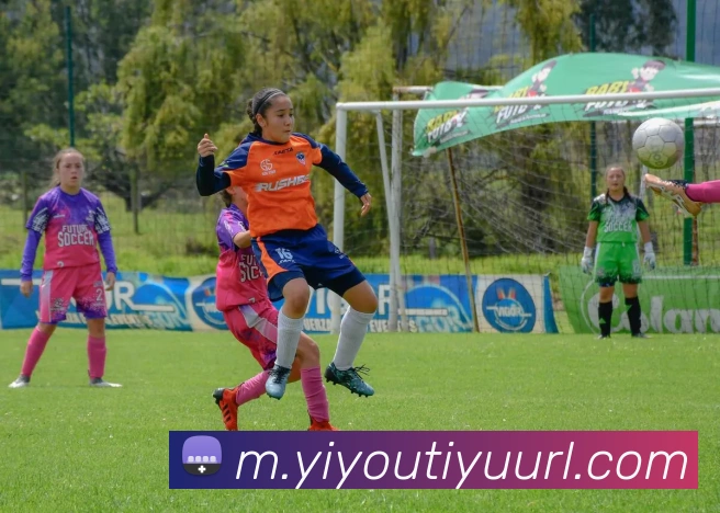 易游体育APP 封面图