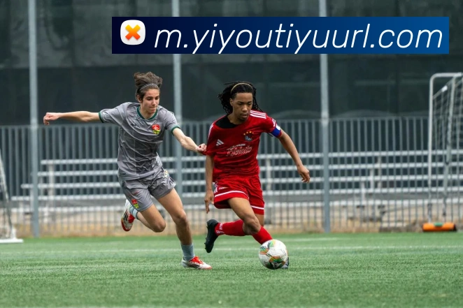 数据防护可视化